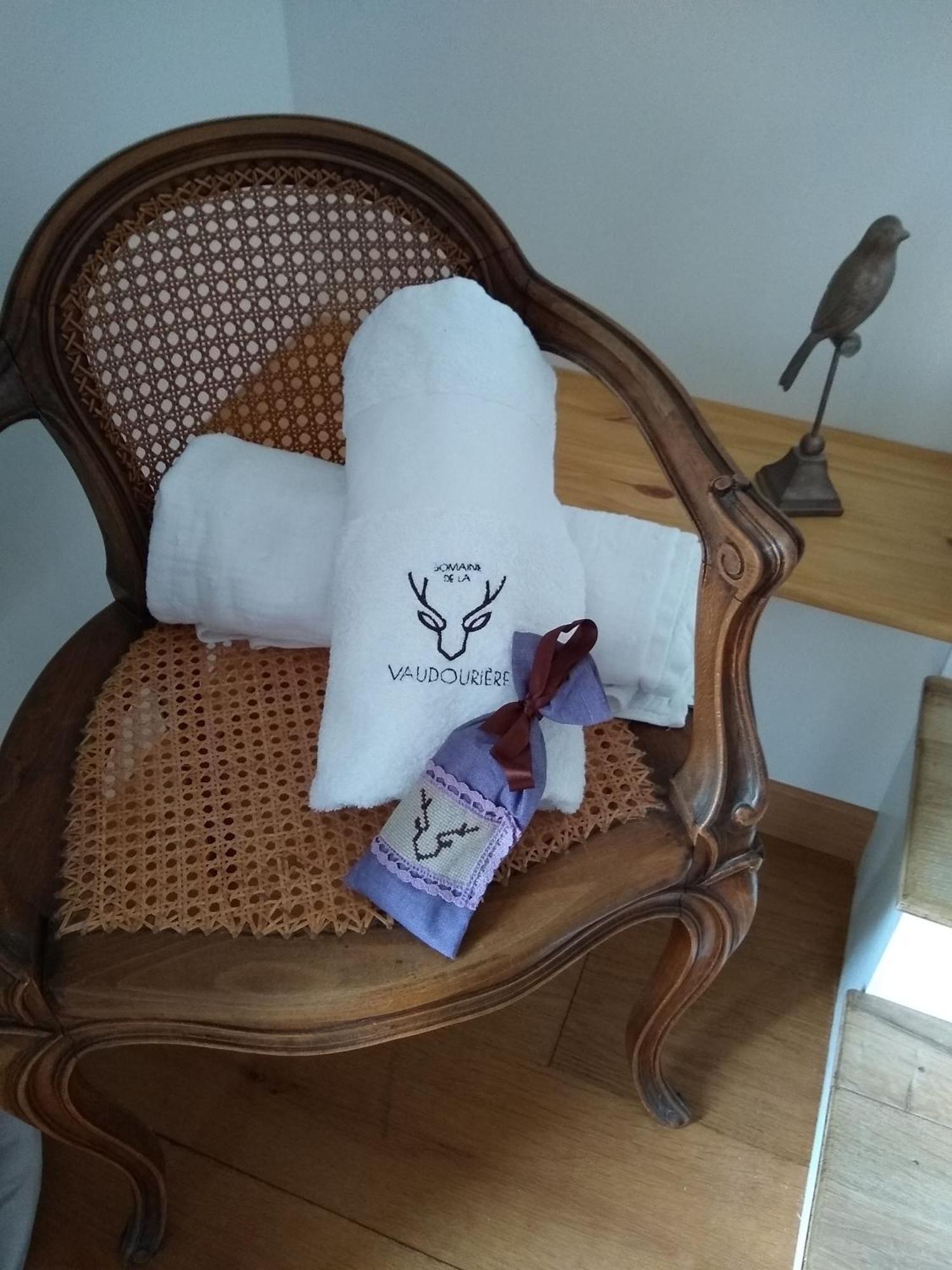 Domaine De La Vaudouriere Βίλα Lunay Δωμάτιο φωτογραφία